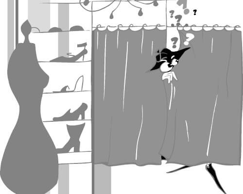 client mystere dans une boutique de mode